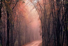 苹果微信主题设置教程-如何设置纸飞机UI主题