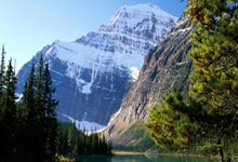 多喵助手旗舰版软件下载-电脑版微信营销软件激活码授权教程- 多喵助手旗舰版新版下载